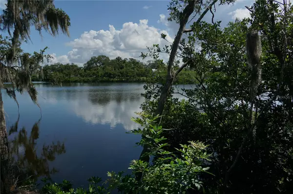New Port Richey, FL 34652,TIBERIUS TRL