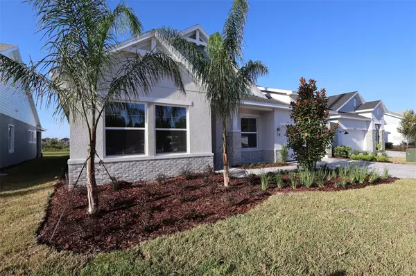 Wesley Chapel, FL 33545,31486 HAYMAN LOOP