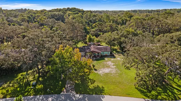 New Port Richey, FL 34654,11040 BLACKWOOD DR