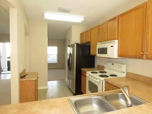 Lithia, FL 33547,5856 FISHHAWK RIDGE DR