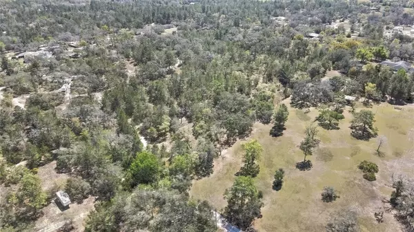 Brooksville, FL 34613,12460 TAYLOR ST