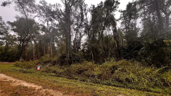 Webster, FL 33597,8256 TREIMAN BLVD