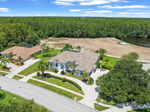 Lutz, FL 33558,4529 CHEVAL BLVD