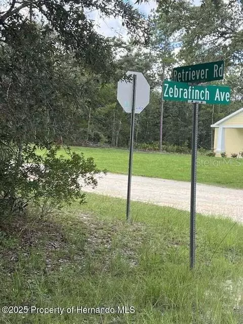 Weeki Wachee, FL 34614,0 ZEBRAFINCH AVE