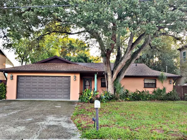 10729 W DRUMMOND RD W, Tampa, FL 33615