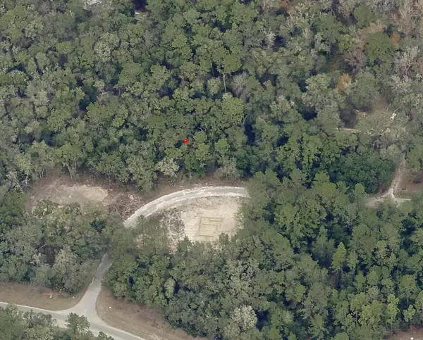 Ocklawaha, FL 32179,TBD SEQUOIA DRIVE RADL