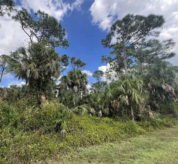 Port Charlotte, FL 33954,18168 ZANZIBAR AVE
