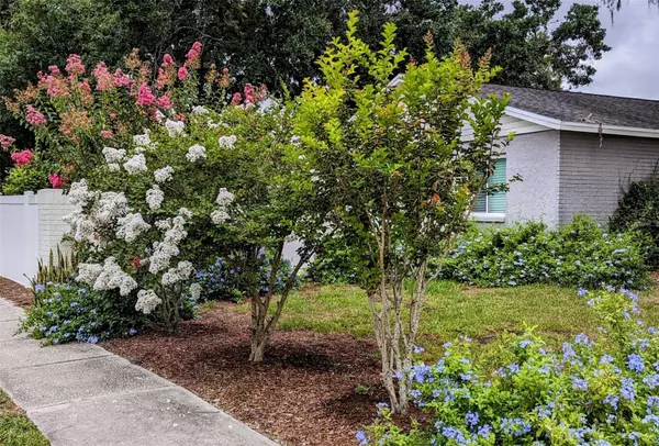 Riverview, FL 33579,11513 SMOKETHORN DR