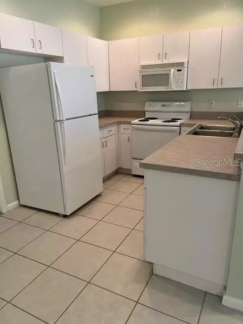 Tampa, FL 33647,16308 FAIRFORD PALMS CT