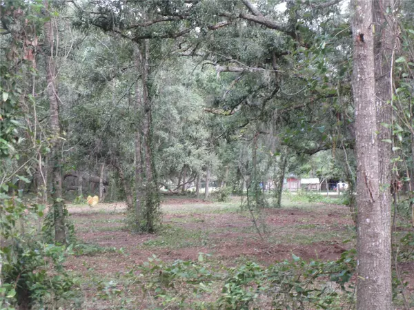 Seffner, FL 33584,00 CASTLEWOOD RD