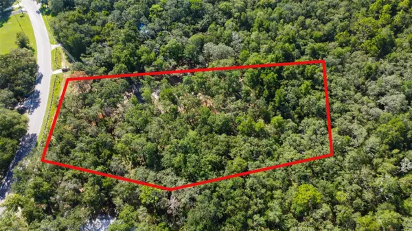 14004 PEACE BLVD, Spring Hill, FL 34610