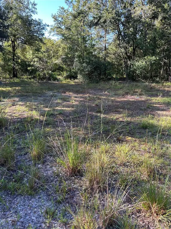 Wesley Chapel, FL 33544,QUAIL HOLLOW BLVD BLVD