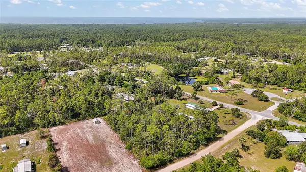 Georgetown, FL 32139,203 PONDEROSA PINE CT