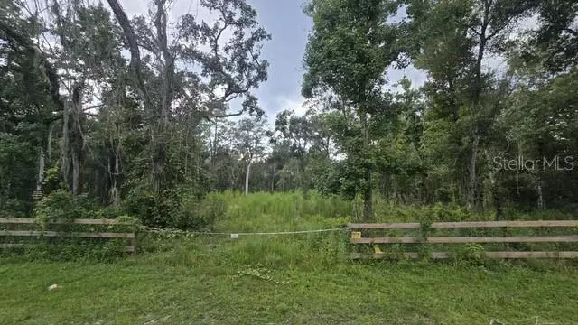 TABLE ROCK DR, Webster, FL 33597