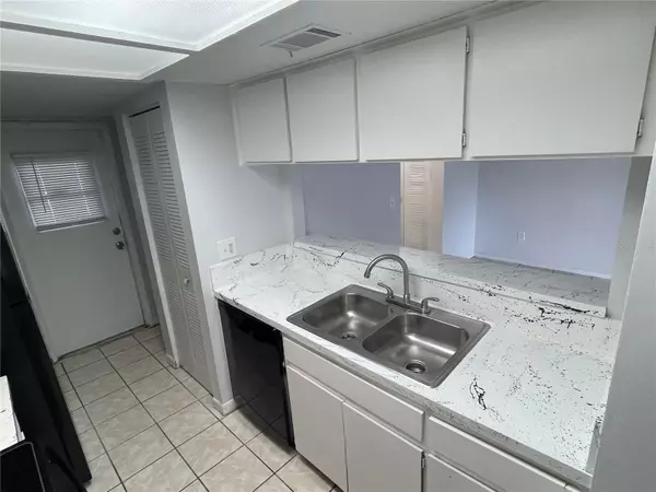 Tampa, FL 33617,5003 TERRACE VILLAGE LN