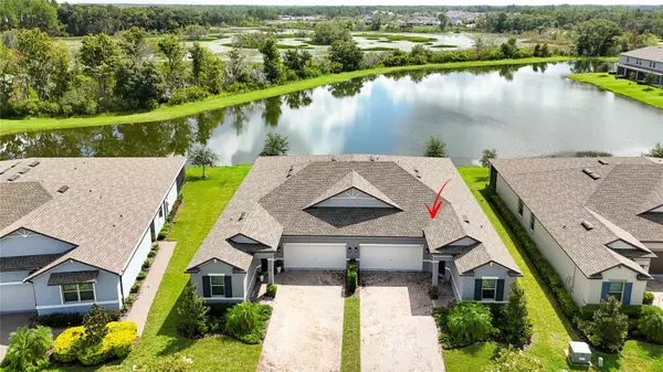 9776 CAMPANULA CT, Land O Lakes, FL 34637