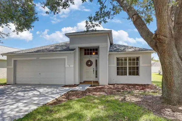 2737 PANKAW LN, Valrico, FL 33596