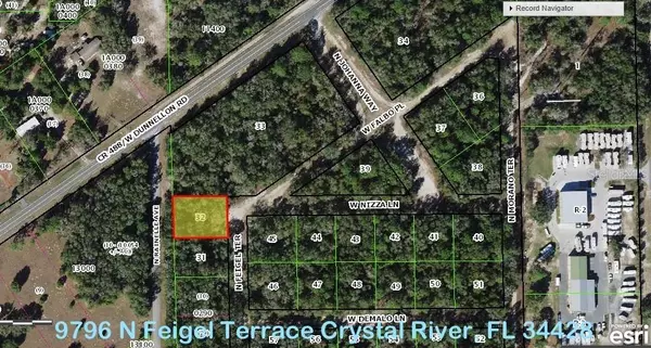 9796 N FEIGEL TER, Crystal River, FL 34428