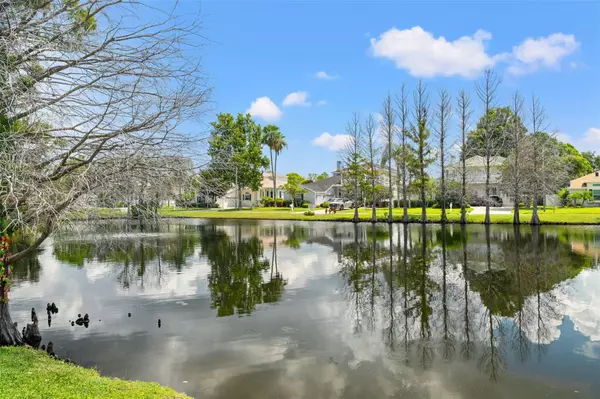 Dunedin, FL 34698,2820 SWAN CIR