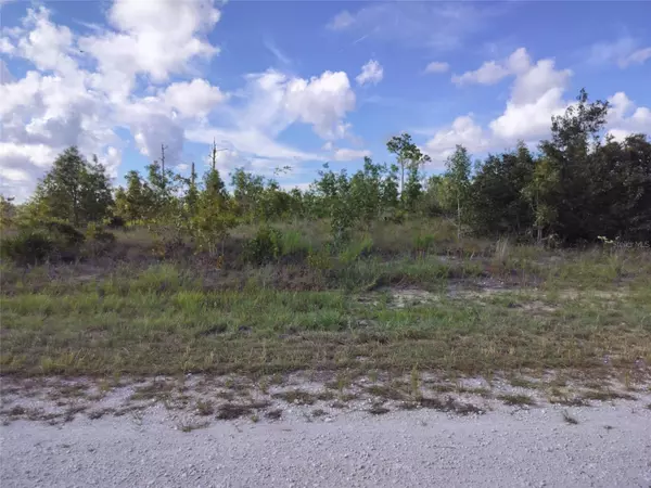 0 SCISSORBILL AVE, Brooksville, FL 34614