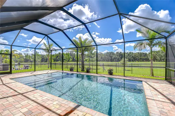 Riverview, FL 33579,13163 PASTURE VIEW LOOP