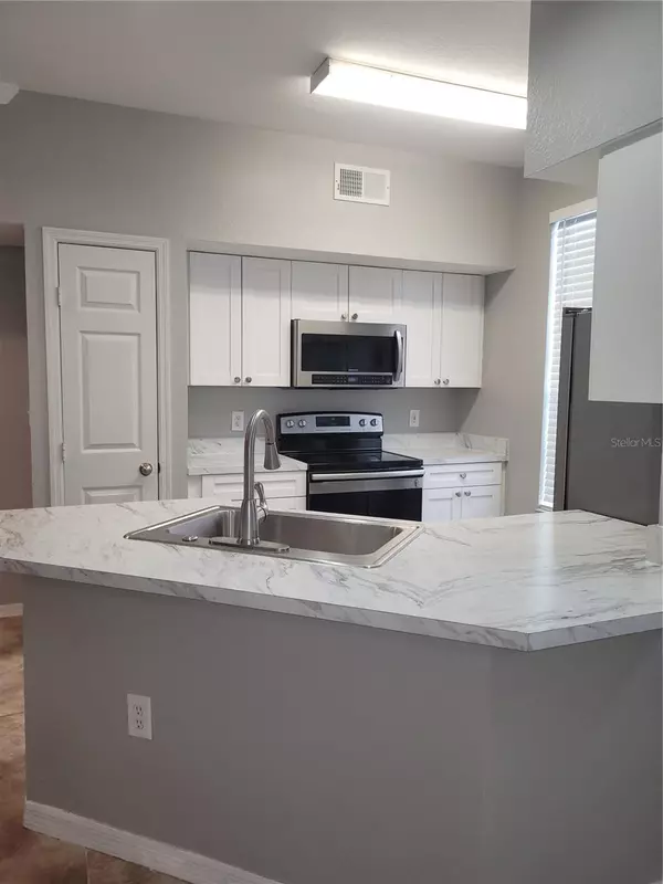 Tampa, FL 33626,9732 LAKE CHASE ISLAND WAY