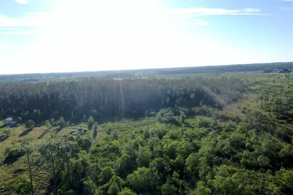 St Cloud, FL 34773,TRIBAL TRL