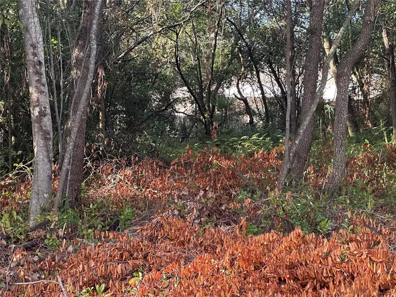 7291 RADCLIFF ST, Spring Hill, FL 34606