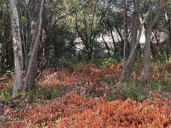 7291 RADCLIFF ST, Spring Hill, FL 34606