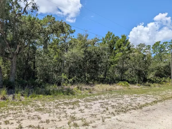 Indian Lake Estates, FL 33855,1113 TROPICANA DR