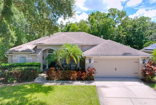 10615 CHAMBERS DR, Tampa, FL 33626