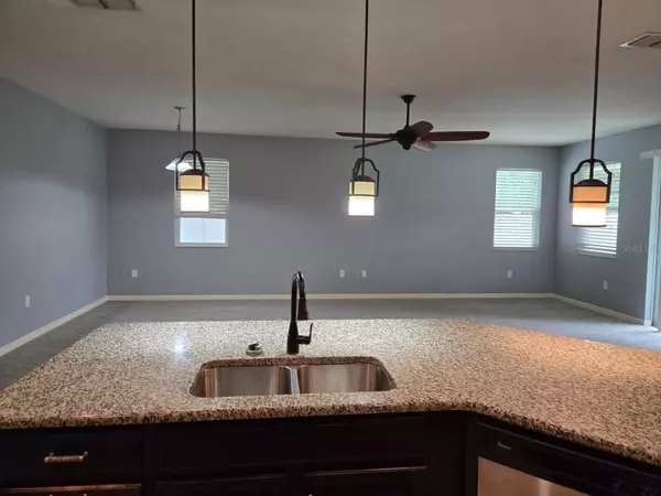 Wimauma, FL 33598,10705 MASSIMO DR