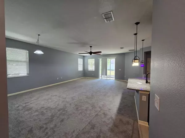 Wimauma, FL 33598,10705 MASSIMO DR