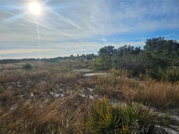 Avon Park, FL 33825,625 S REED RD