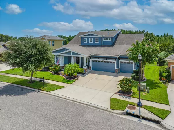 8312 SWISS CHARD CIR, Land O Lakes, FL 34637