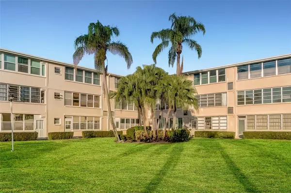 St Petersburg, FL 33702,8100 DR MARTIN LUTHER KING JR ST N #311