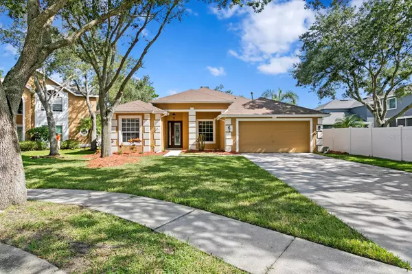 Tampa, FL 33647,8504 GOLDFINCH CT