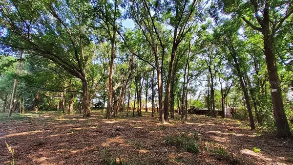 Mount Plymouth, FL 32776,25050 ALGONQUIN AVE