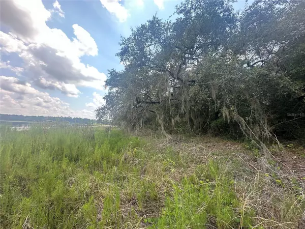 Dunnellon, FL 34431,449 450 & E1/2 LOT 451 SW SHOREWOOD DR