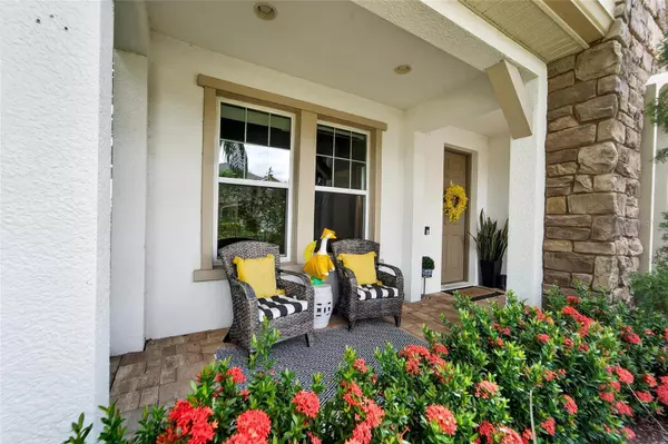 Wesley Chapel, FL 33543,4518 ESPERANZA CT