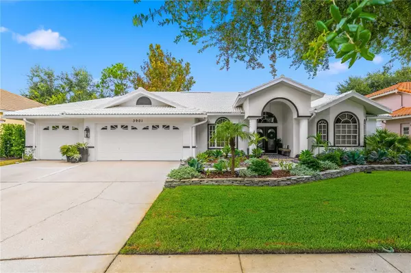 3901 TARIAN CT, Palm Harbor, FL 34684