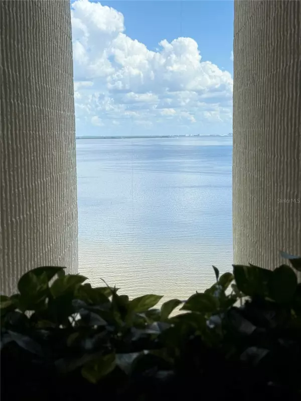 Tampa, FL 33629,2413 BAYSHORE BLVD #1805