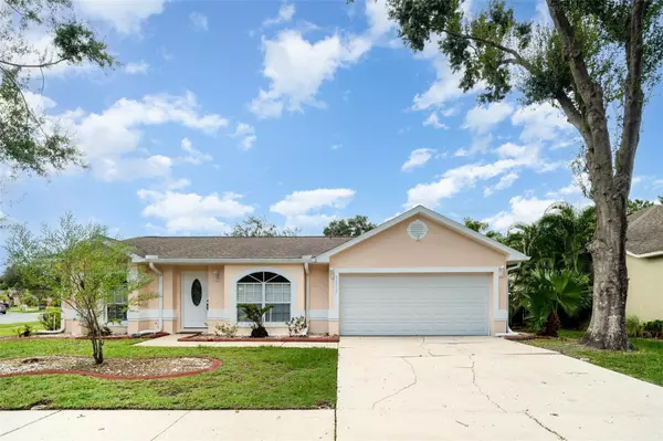 11512 WELLMAN DR, Riverview, FL 33578
