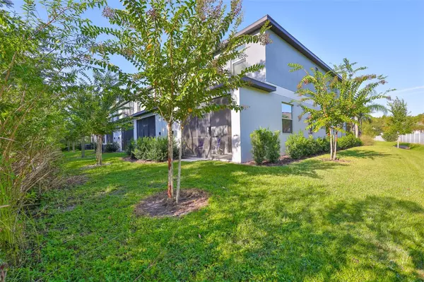 Lutz, FL 33549,23398 PAPYRUS WAY