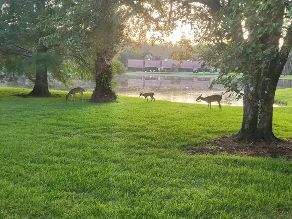 Palm Harbor, FL 34685,3451 MERMOOR DR