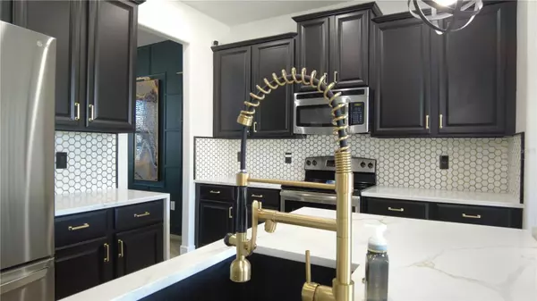 Land O Lakes, FL 34638,18314 ROSSENDALE CT