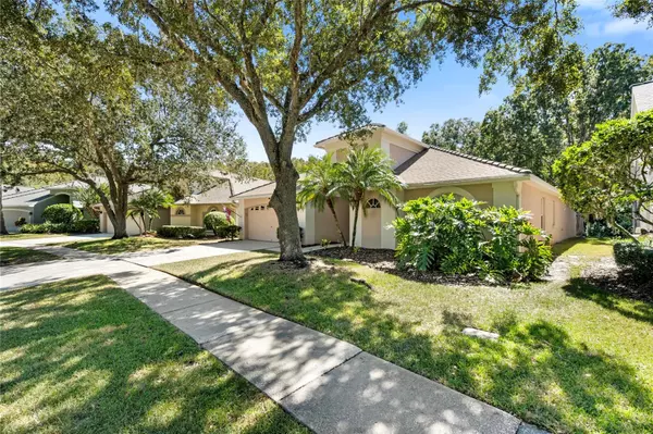 Lutz, FL 33558,5542 AVENUE DU SOLEIL