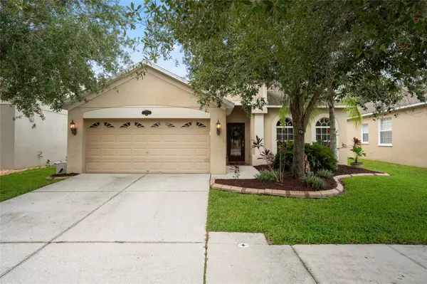 Tampa, FL 33647,11044 ANCIENT FUTURES DR