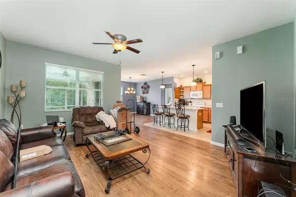 Mulberry, FL 33860,4859 HICKORY STREAM LN