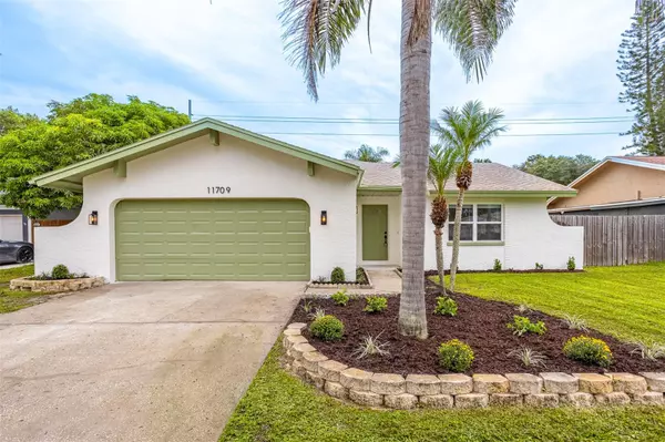 11709 CYPRESS PARK ST, Tampa, FL 33624